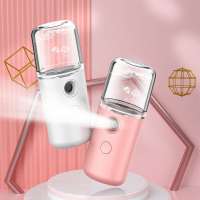 Professional Cute 30ml Nano USB Charging Electric Cool Mist Face Care Portable Beauty Spa Mini Air Aroma Humidifiers